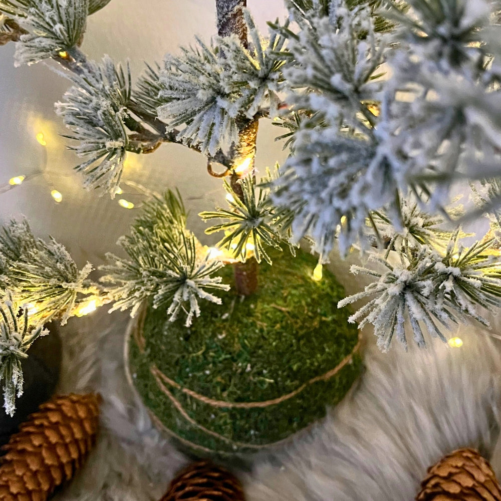 Dacore ceder ljuskedja adapter H120 cm grön metallfot