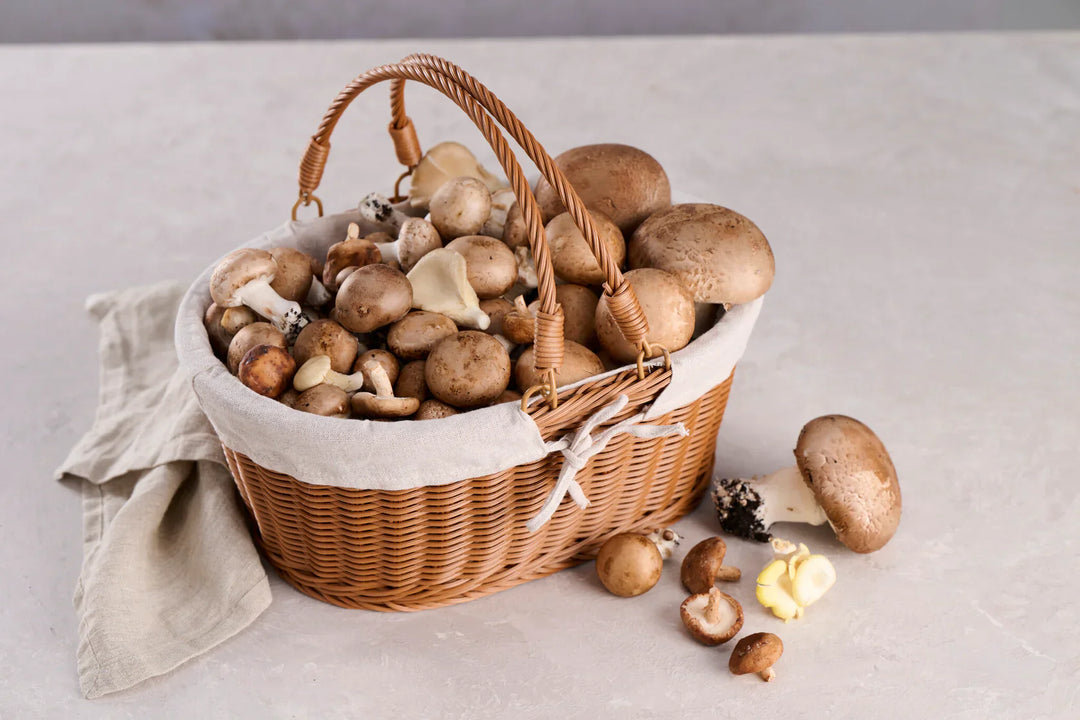 Picknickkorg med handtag