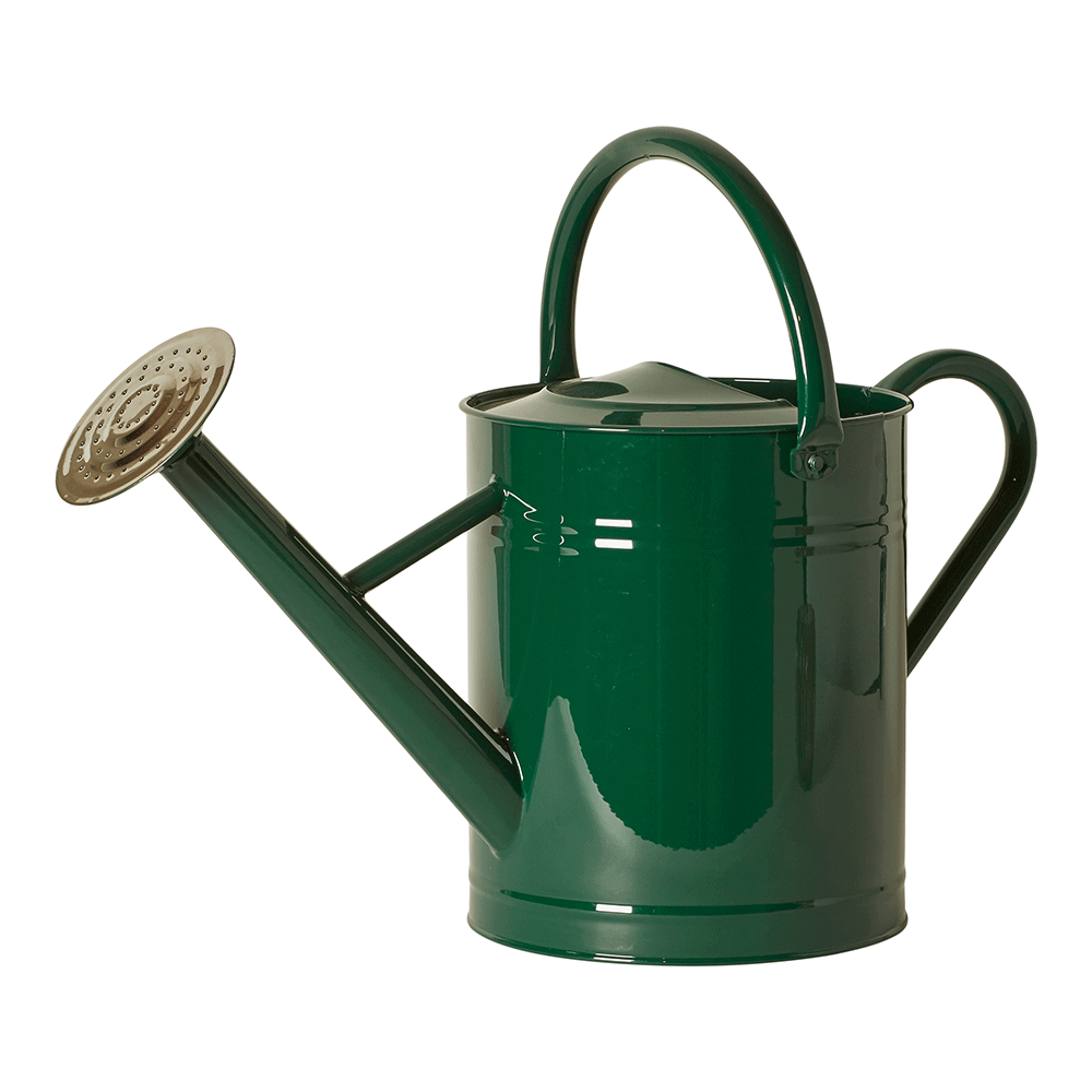 Dacore - Vattenkanna 8 liter - Grön