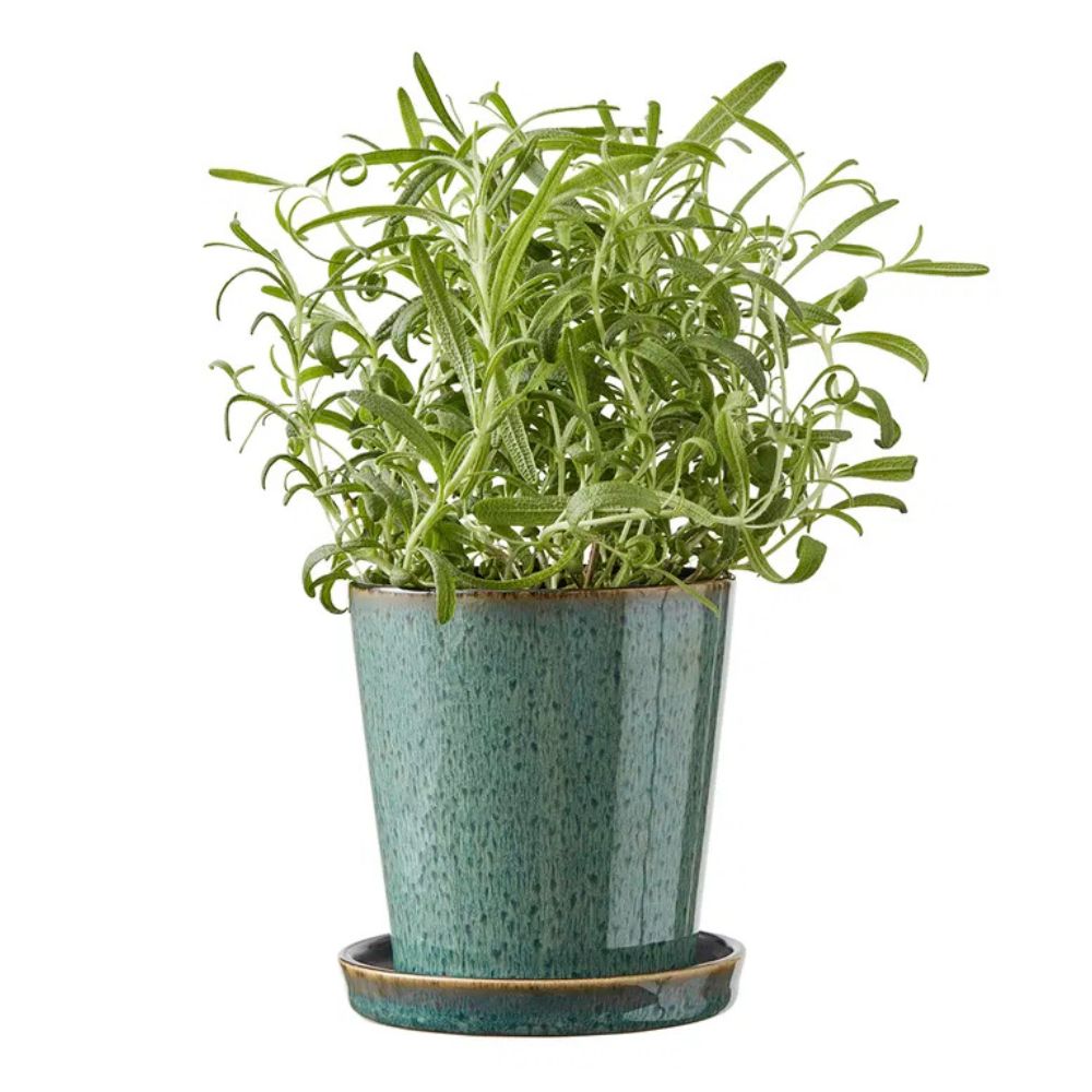 Bitz - Blomkruksskydd 10cm Grön/svart