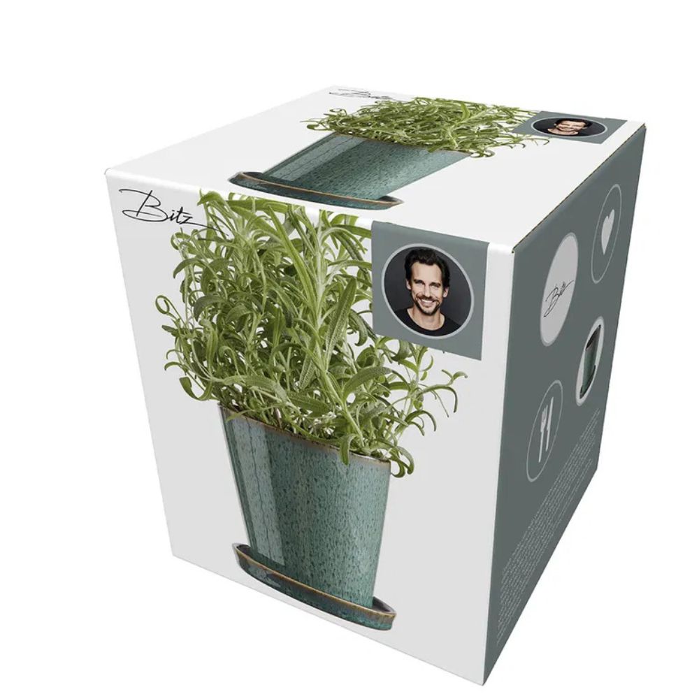 Bitz - Blomkruksskydd 10cm Grön/svart