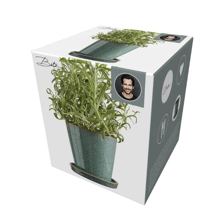 Bitz - Blomkruksskydd 10cm Grön/svart