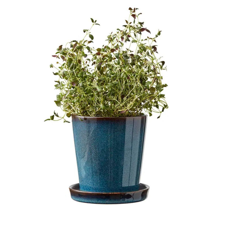 Bitz - Blomkrukaskinn 10cm blå/svart