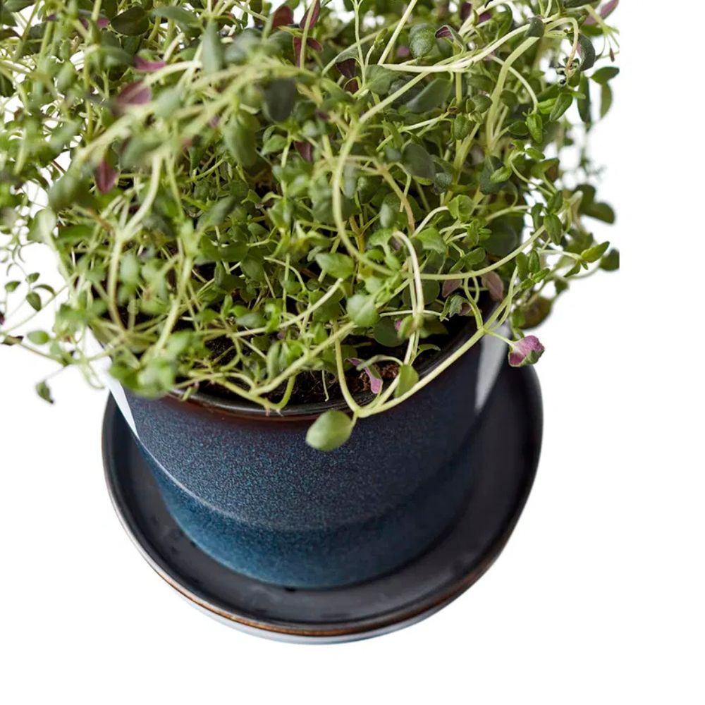 Bitz - Blomkrukaskinn 10cm blå/svart