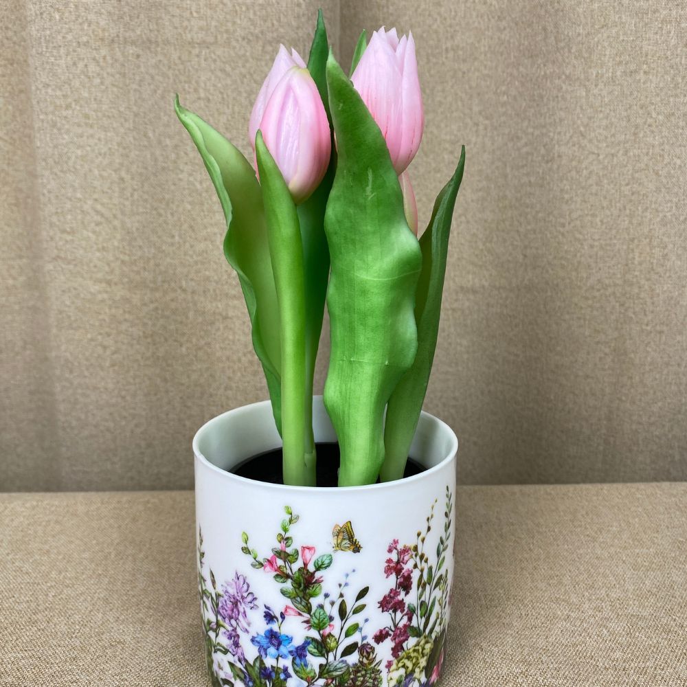 Tulpaner 5 st. i kruka 25 cm rosa