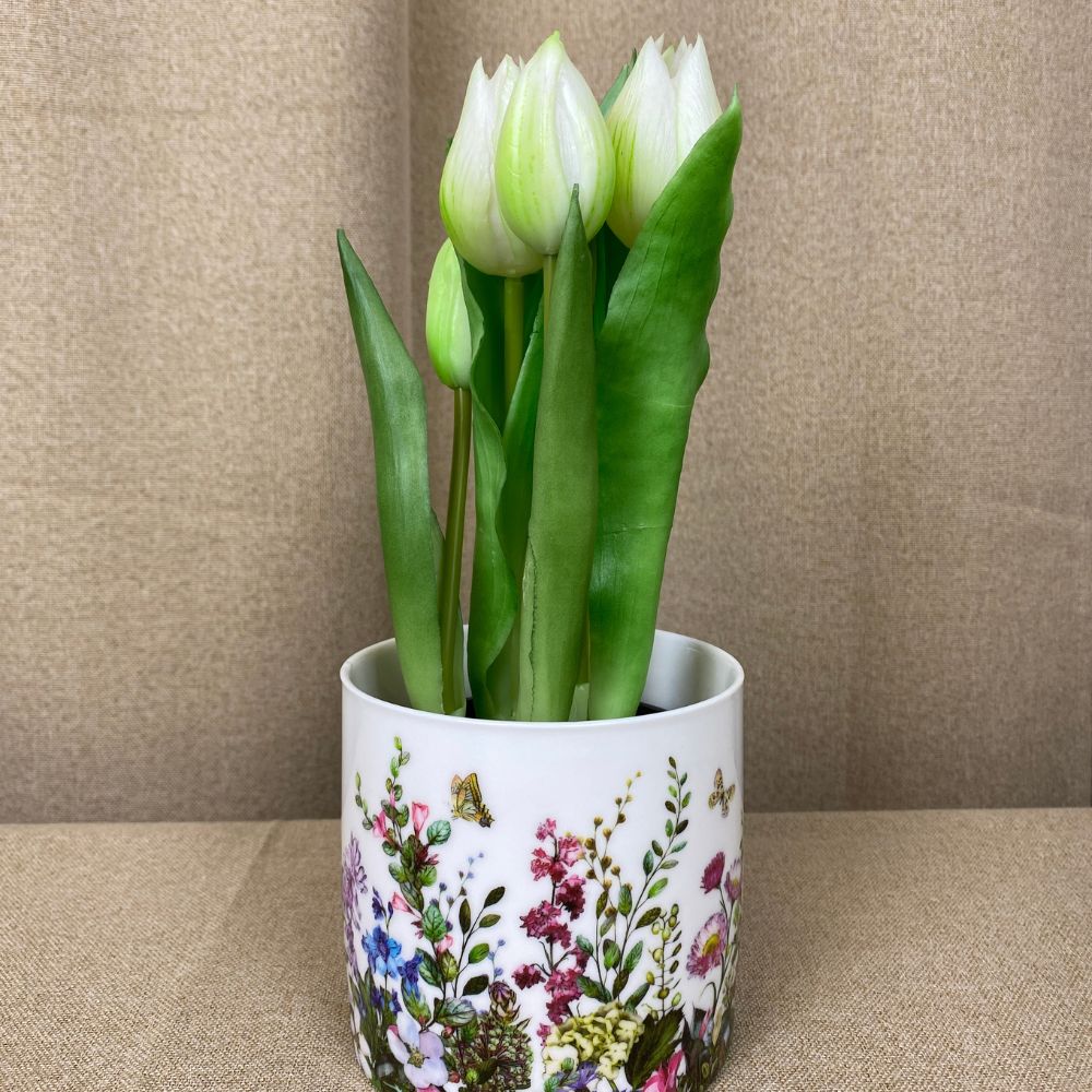 Tulpaner 5 st. i kruka 25 cm - vita