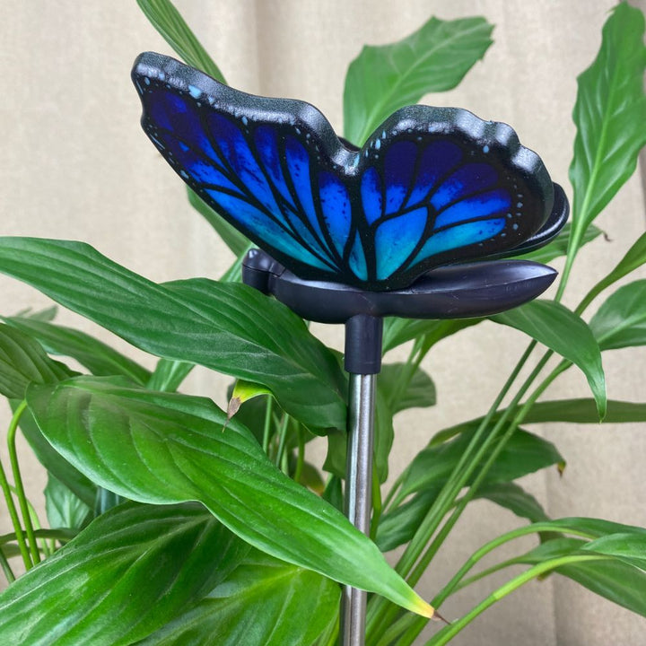 Conzept - Solar fjäril på spett 1 st. - blå 11x77 cm