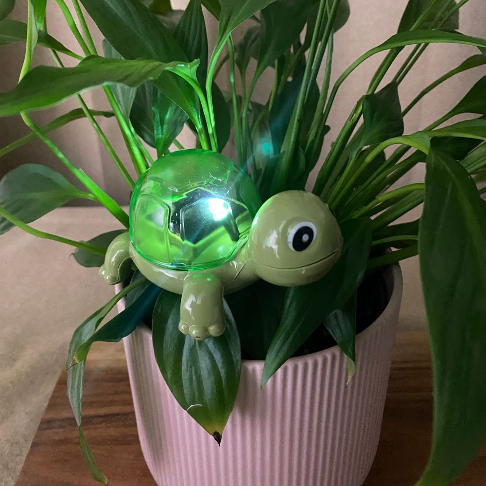 Conzept - Solcellslampa - 4 assorterade varianter