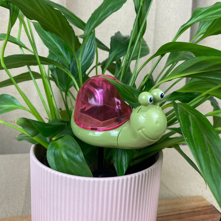 Conzept - Solcellslampa - 4 assorterade varianter