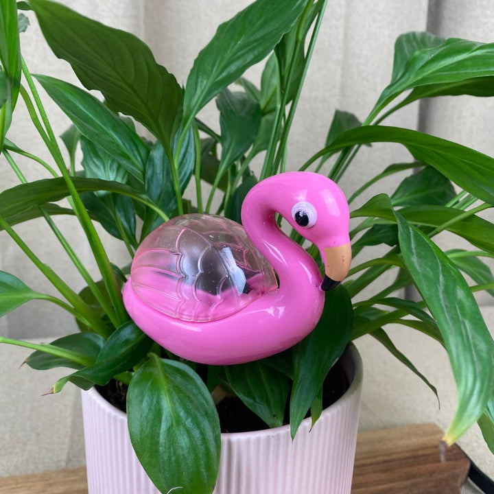 Conzept - Solcellslampa - 4 assorterade varianter