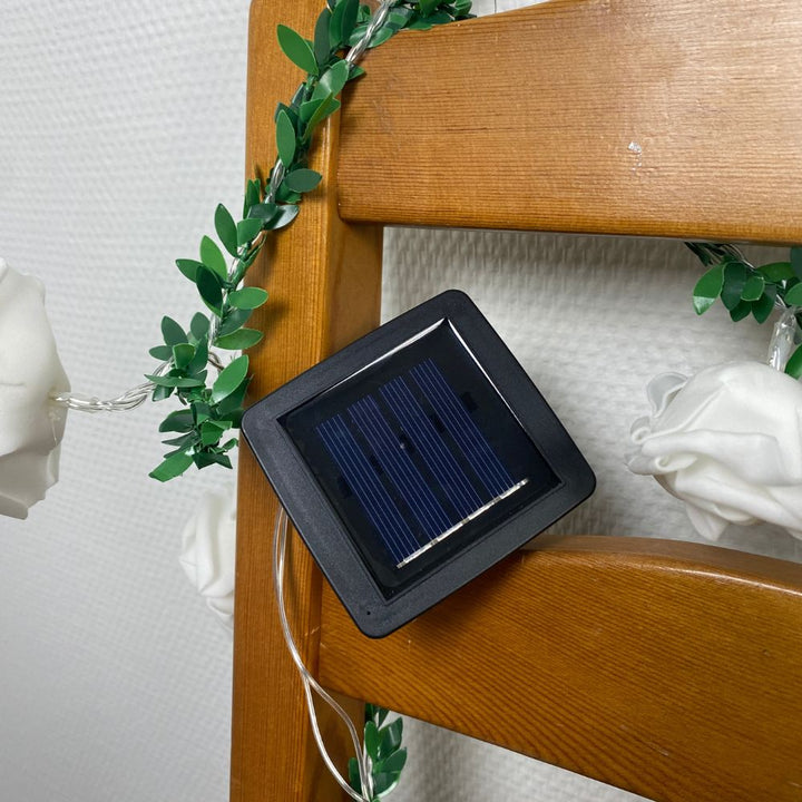 Conzept - Solar ljusslinga med rosor 20 st.