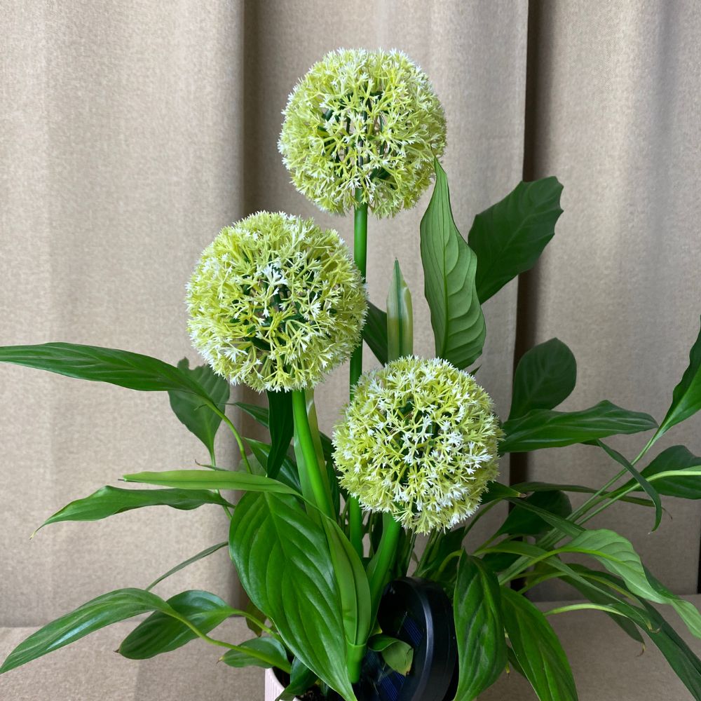 Conzept - Solcellslök 71 cm 36 LED