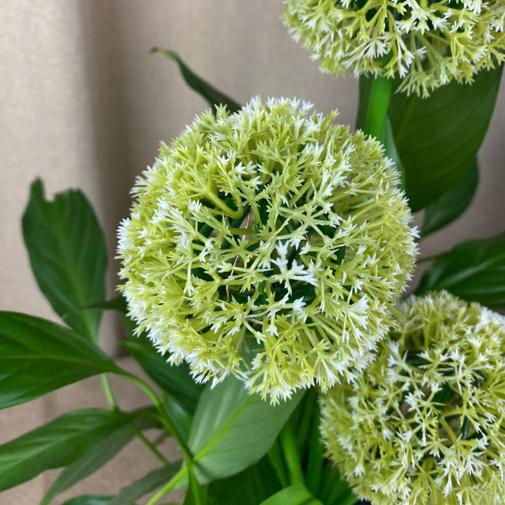 Conzept - Solcellslök 71 cm 36 LED