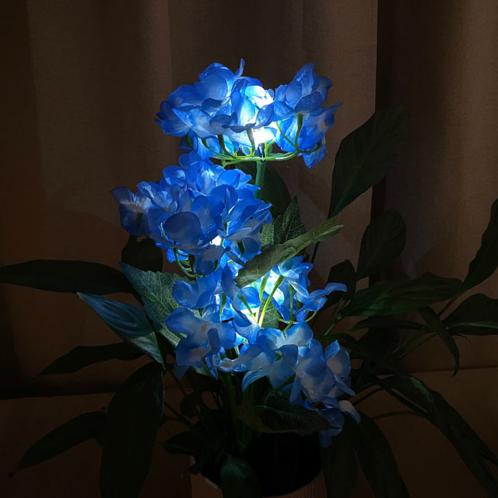 Conzept solblomma hortensia 70x45 cm 2 st.