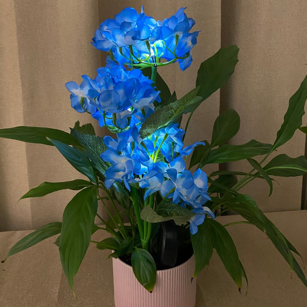 Conzept solblomma hortensia 70x45 cm 2 st.