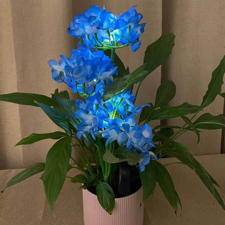 Conzept solblomma hortensia 70x45 cm 2 st.