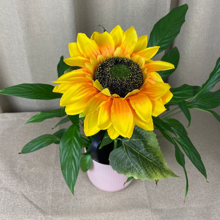 Conzept - Solblomma solros 75x46 cm 2 st.
