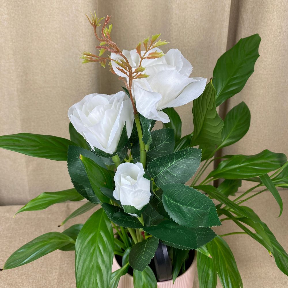 Conzept - Solblomsros 70x45 cm - 2 st.