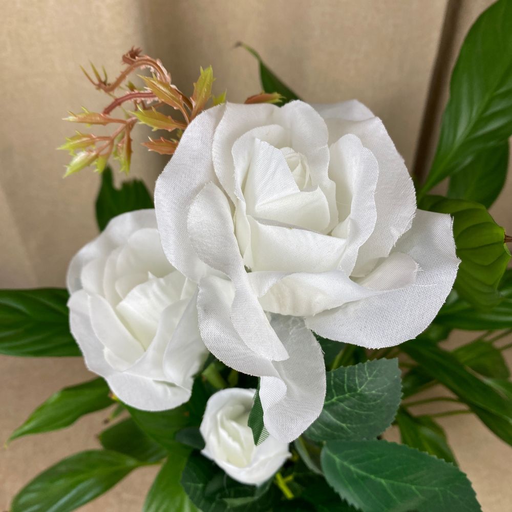 Conzept - Solblomsros 70x45 cm - 2 st.