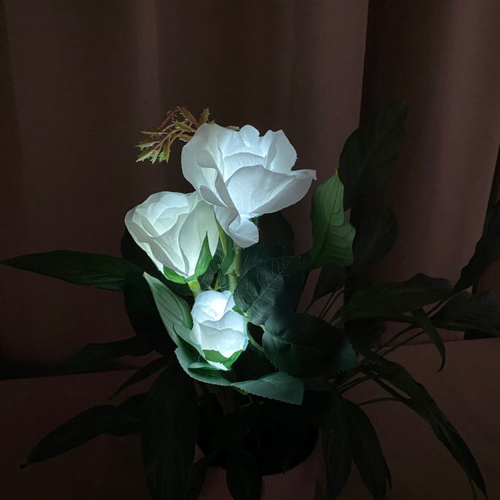 Conzept - Solblomsros 70x45 cm - 2 st.