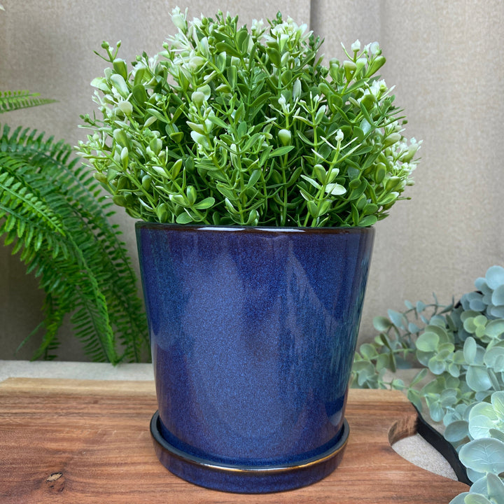 Bitz - Blomkruksskydd 14cm blå/svart