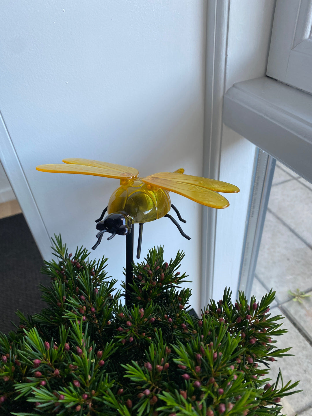 Conzept - solguldsmed 17 x 14,5 x 34 cm