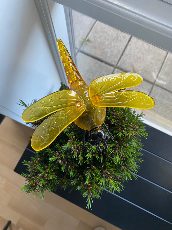 Conzept - solguldsmed 17 x 14,5 x 34 cm