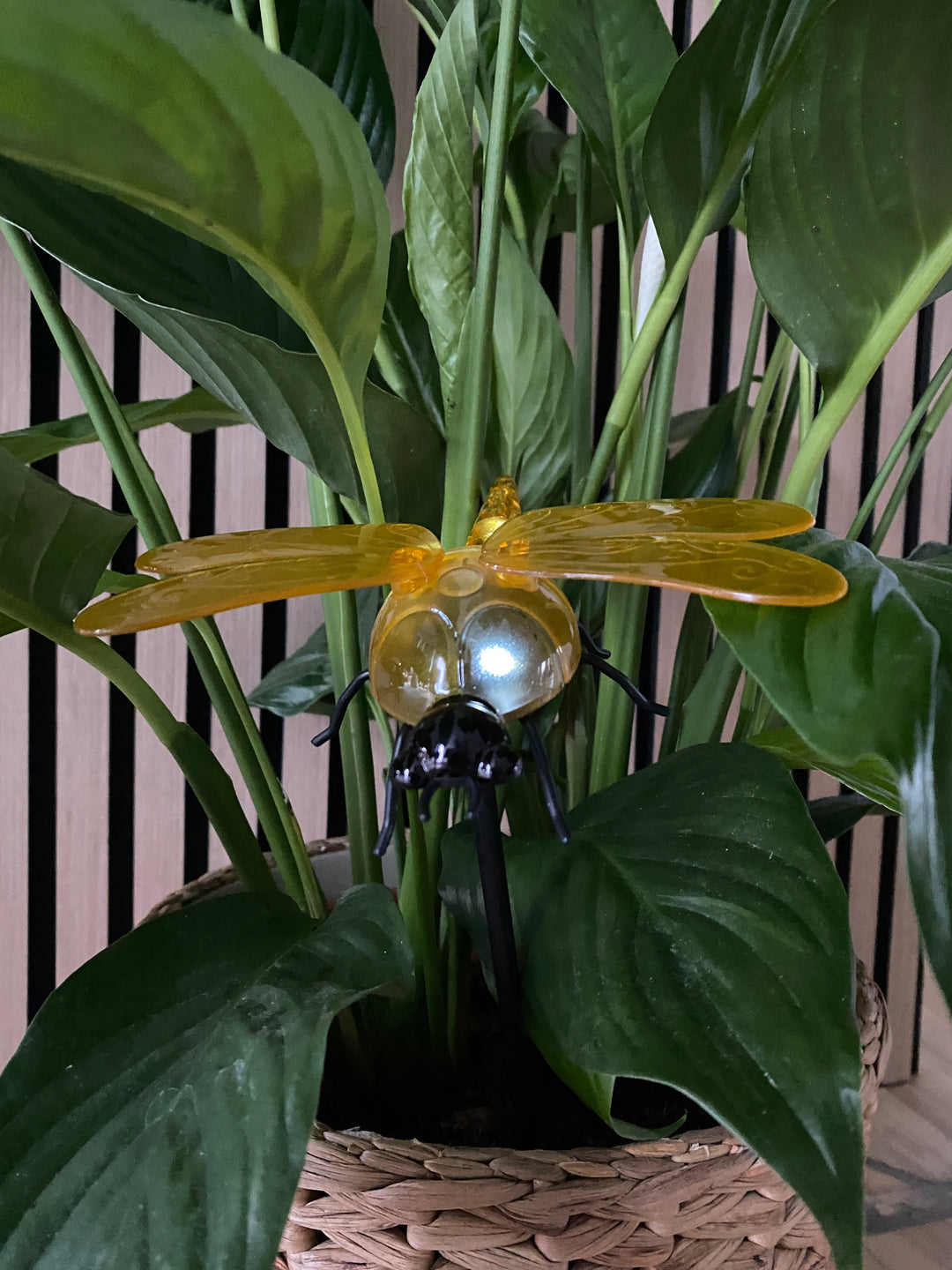 Conzept - solguldsmed 17 x 14,5 x 34 cm