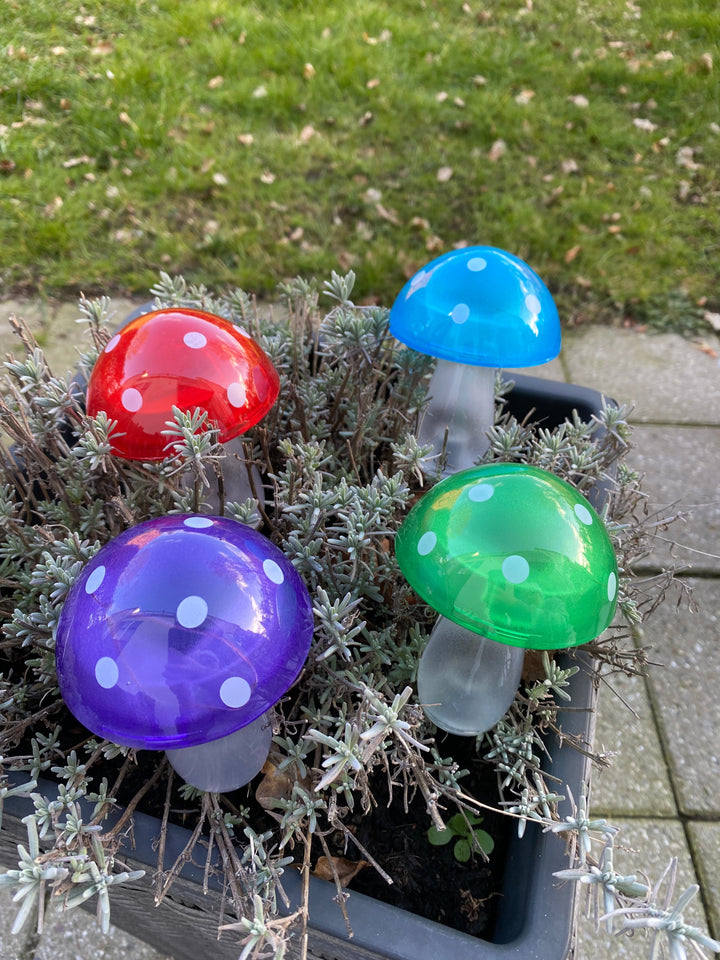 Conzept - solsvamp 7,8x7,8x20 cm 4 ass. färger