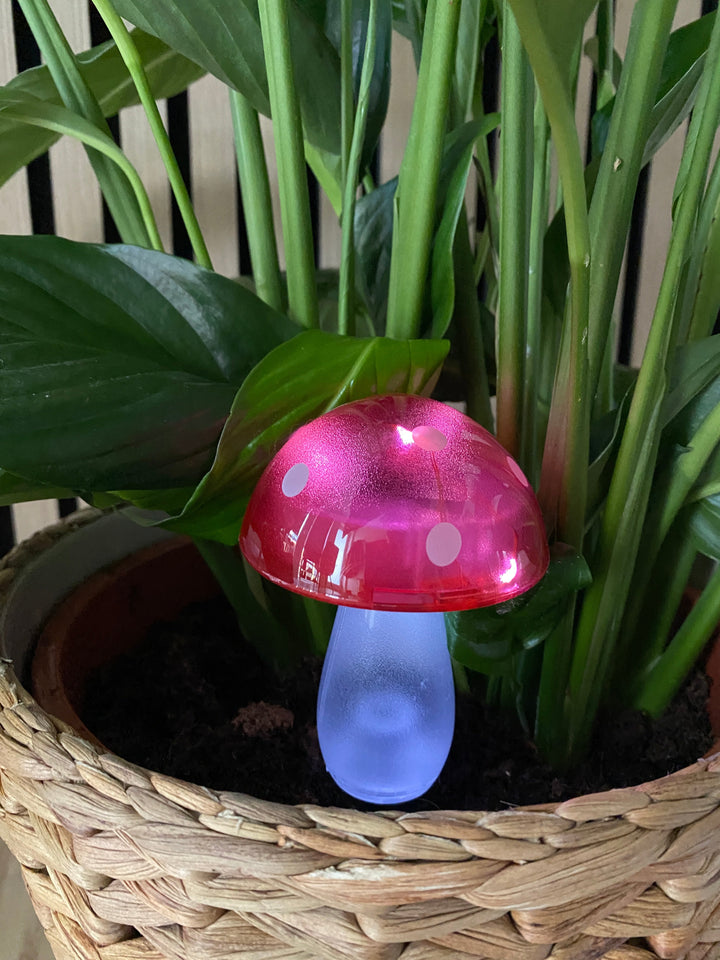 Conzept - solsvamp 7,8x7,8x20 cm 4 ass. färger