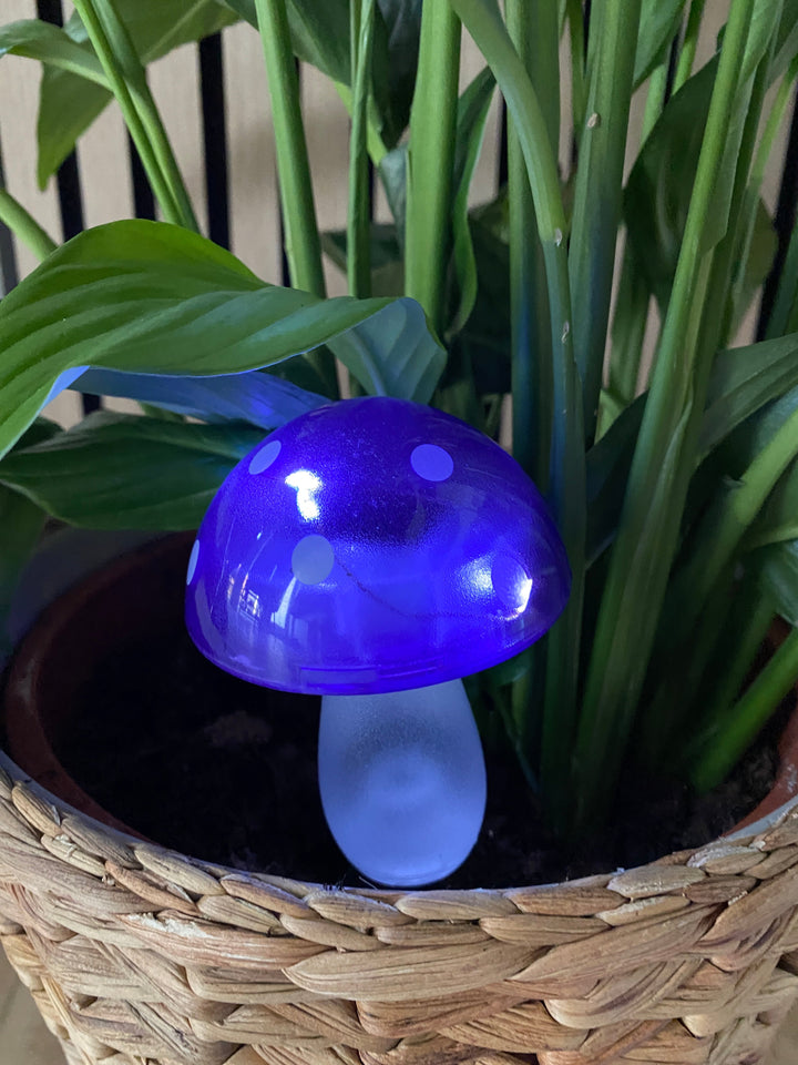 Conzept - solsvamp 7,8x7,8x20 cm 4 ass. färger