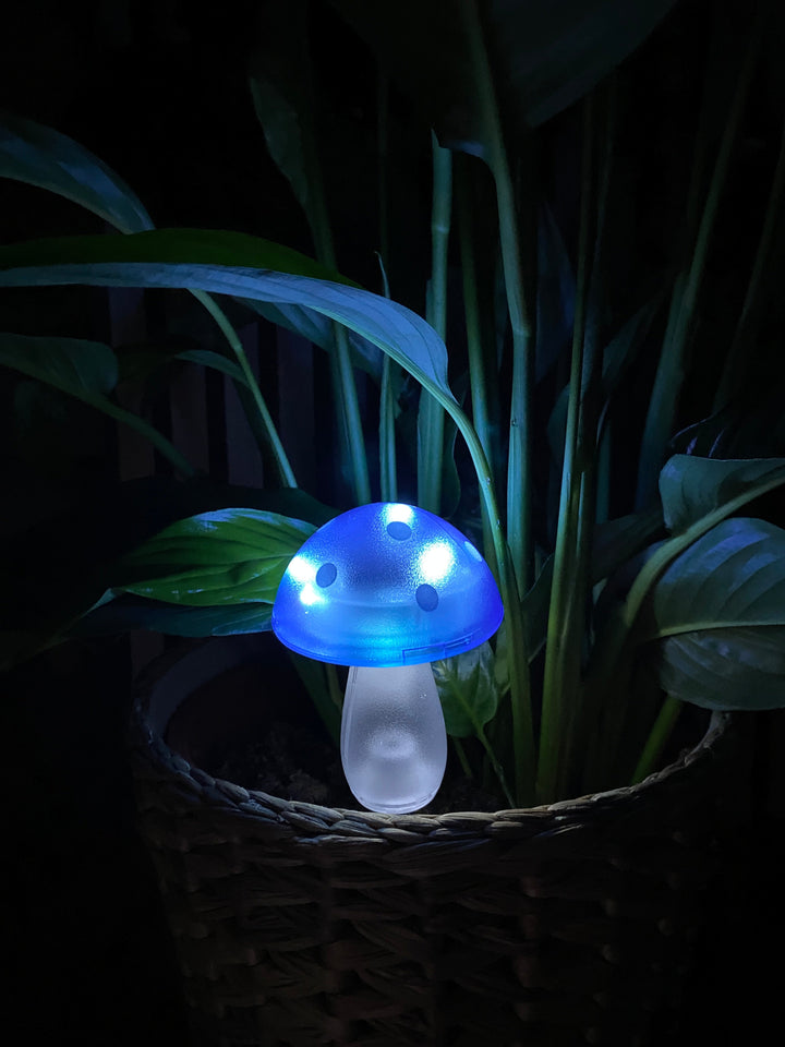 Conzept - solsvamp 7,8x7,8x20 cm 4 ass. färger