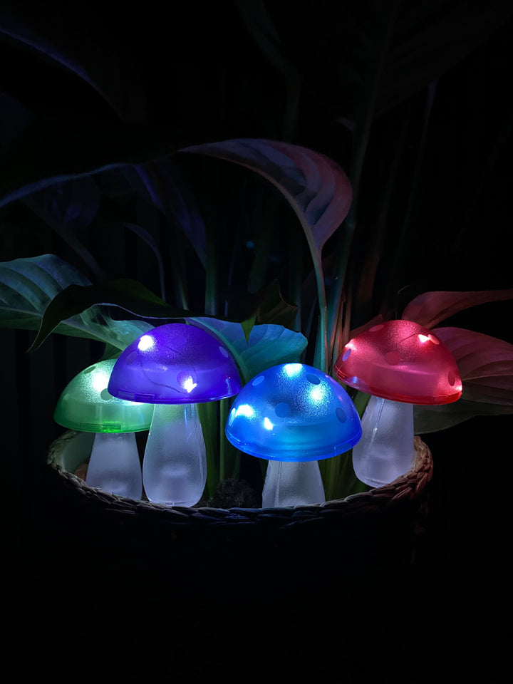 Conzept - solsvamp 7,8x7,8x20 cm 4 ass. färger