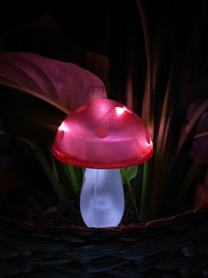 Conzept - solsvamp 7,8x7,8x20 cm 4 ass. färger