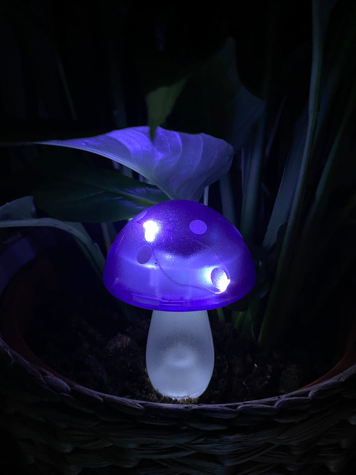 Conzept - solsvamp 7,8x7,8x20 cm 4 ass. färger