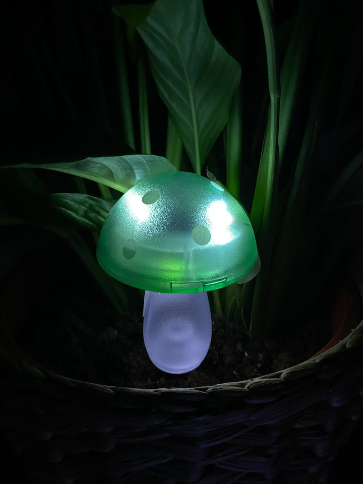 Conzept - solsvamp 7,8x7,8x20 cm 4 ass. färger