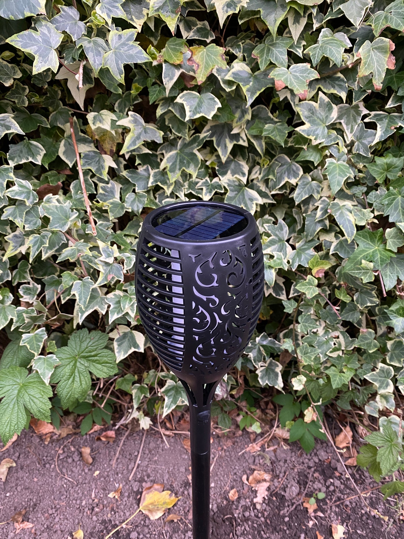 Conzept solfackla H58xD9,5 cm 33xLED svart
