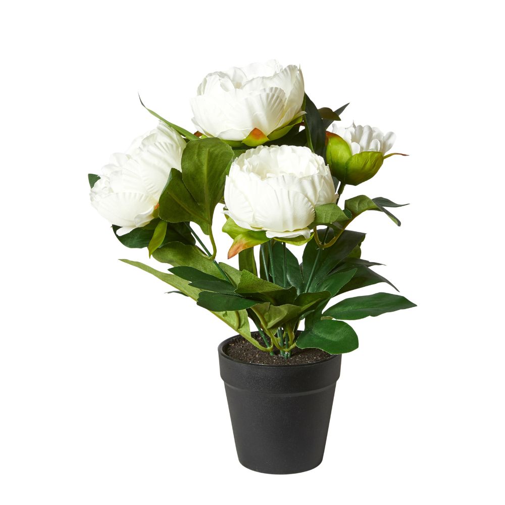 Pæon i potte 31 cm polyester/plast hvid