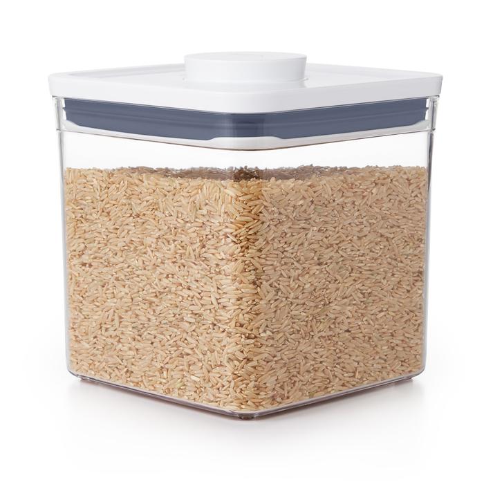 OXO - POP Behållare - 2,6 liter