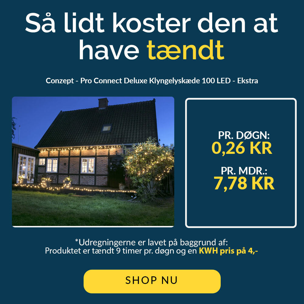 Conzept - Pro Connect Deluxe klusterljuskedja 100 LED - Extra