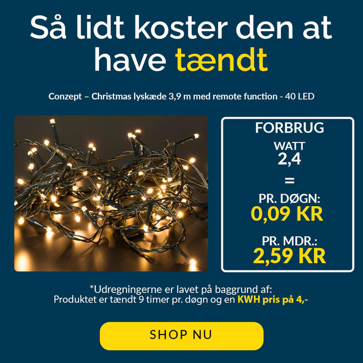 Conzept - Ljusslinga varmvit med fjärrkontroll - 40 LED