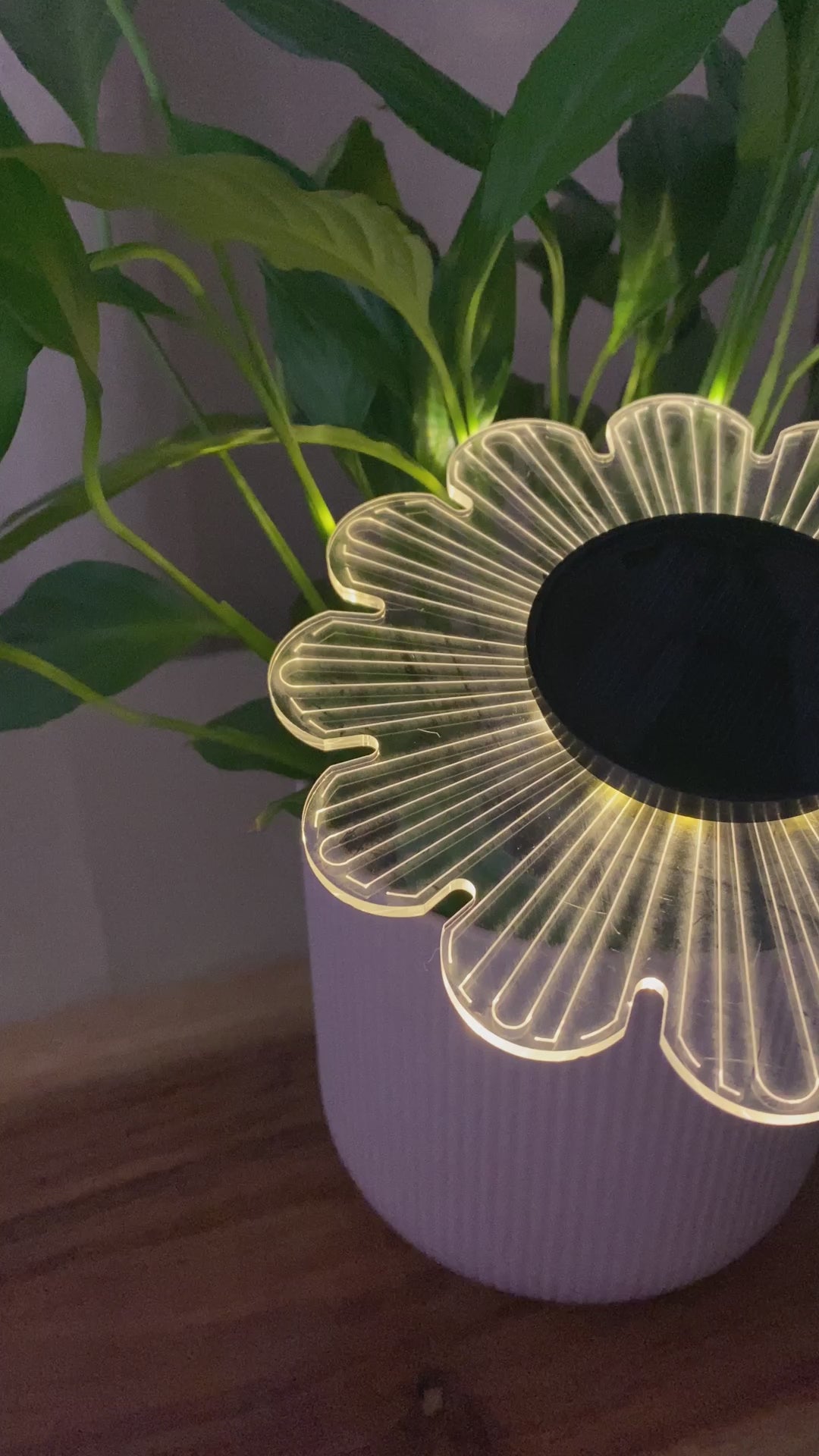 Conzept - Solcellampa för vägg eller mark Ø15x2,8x14 cm 12 LED