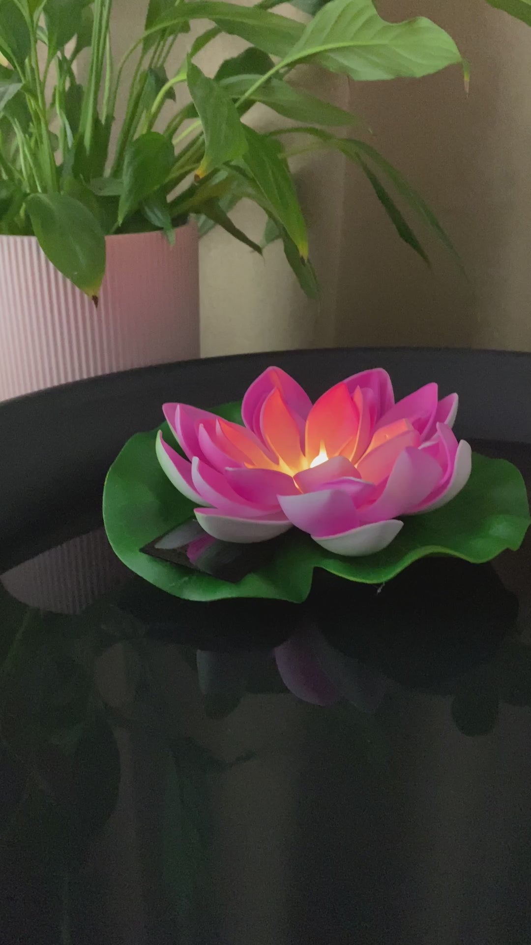Conzept - Solar lotusblomma Ø17 cm rosa 2 st.