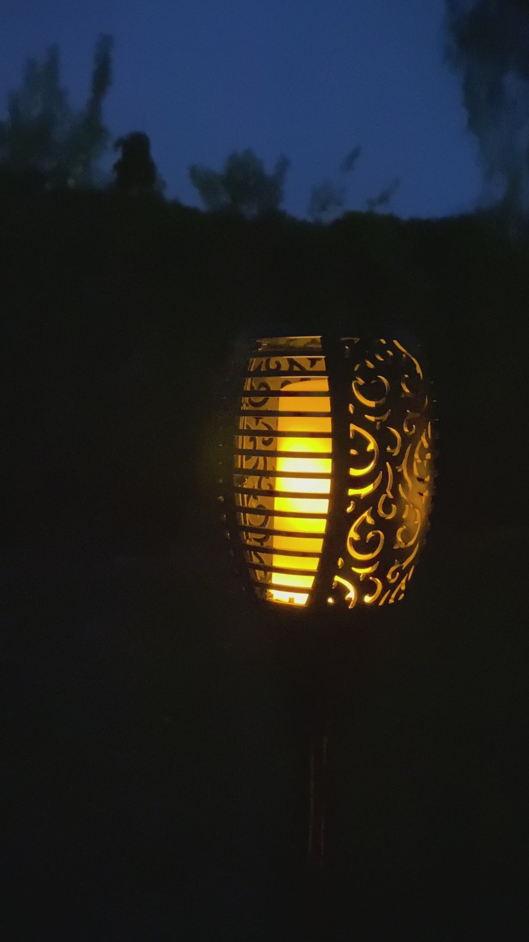 IMG_9131_b01c5bbc-b8d5-44f8-a1be-0ff9032e2ff8.MOV