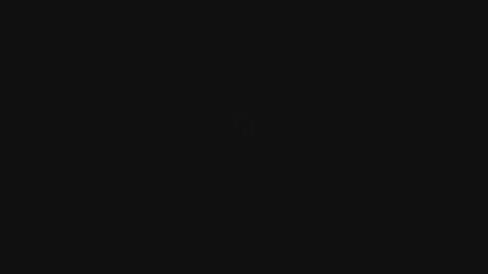 0790386991_Video-SE_01.mp4
